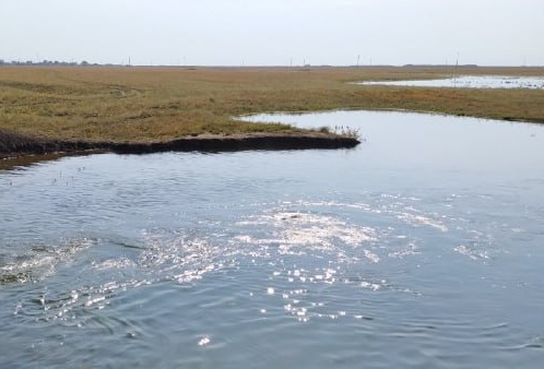 Почти половину от запланированного объёма воды закачали в пруды и водохранилища засушливых районов Саратовской области.