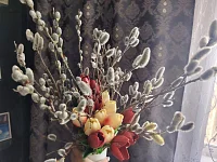 Сохраняя обычаи предков: волонтеры раздали веточки Вербы в преддверии Вербного Воскресения