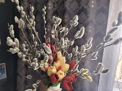 Сохраняя обычаи предков: волонтеры раздали веточки Вербы в преддверии Вербного Воскресения