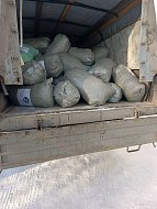 Сообща можно осилить все