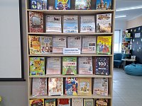 В Детской библиотеке организована выставка к Году единства народов